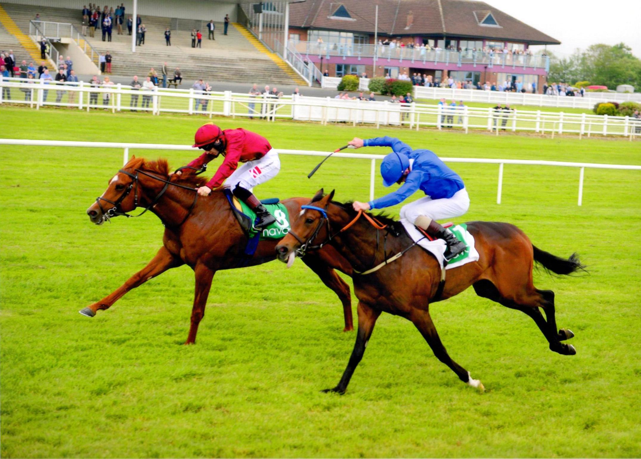 LUSTROUS LIGHT brings up a double on the card for Ger and Colin 28 May 2016